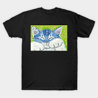 Kitten cat T-Shirt